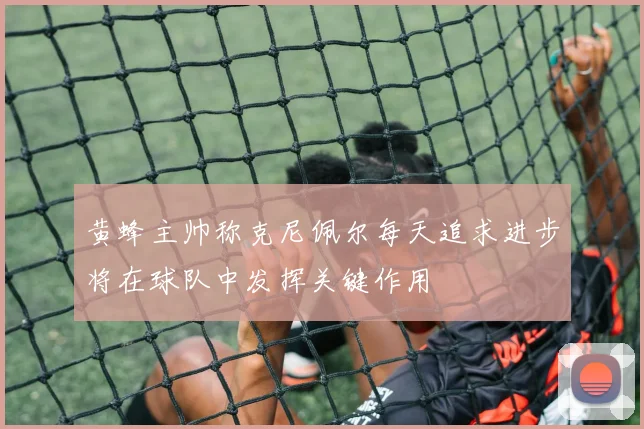 黄蜂主帅称克尼佩尔每天追求进步将在球队中发挥关键作用