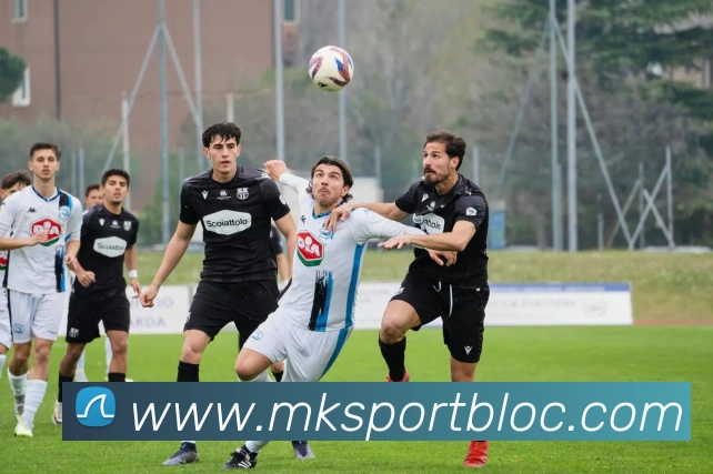 App Interface Preview