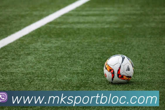 MK体育APP 封面图