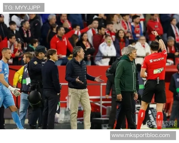 利兹联球迷两度向热刺球员投掷物品或将遭遇高额罚款